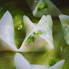 Vegetable Dumplings